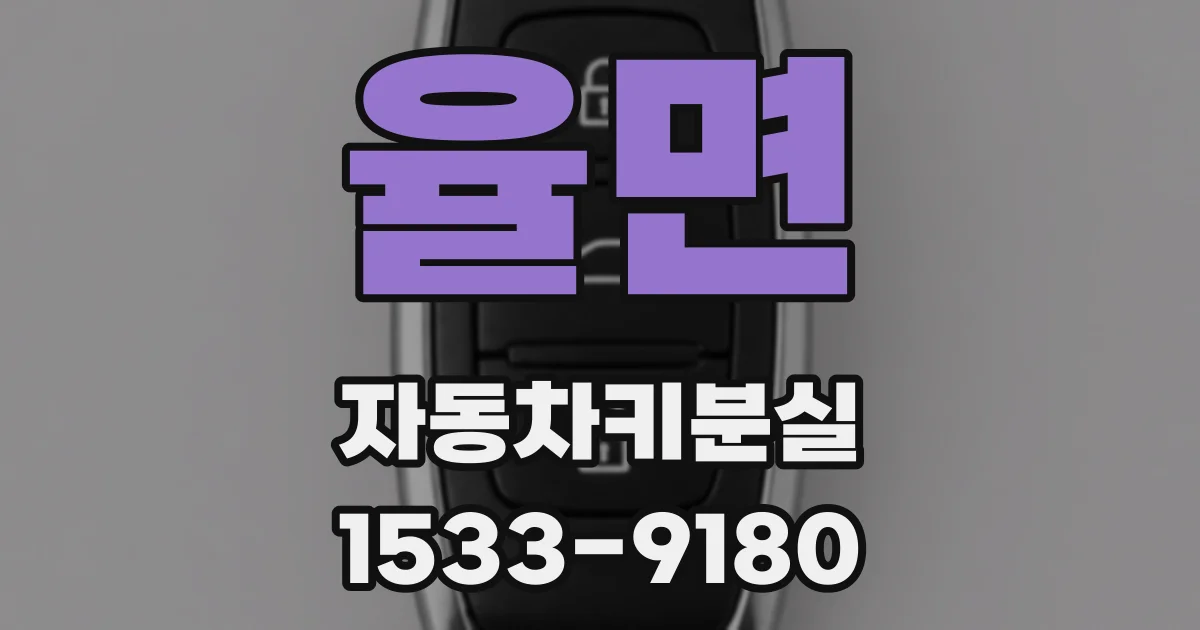 율면 자동차키분실