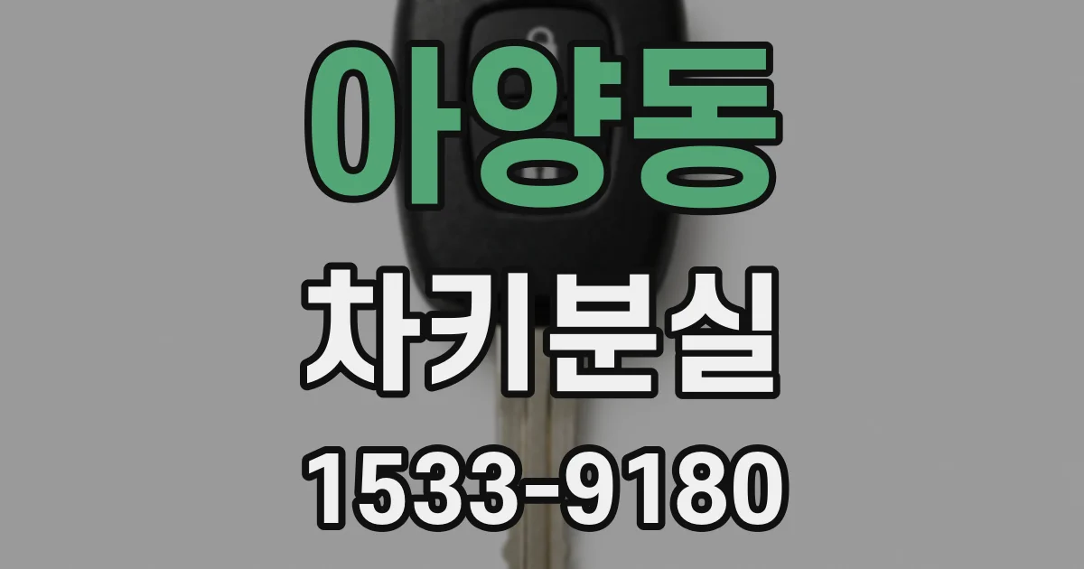 아양동 차키분실