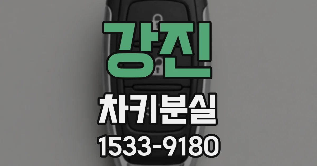 강진 차키분실