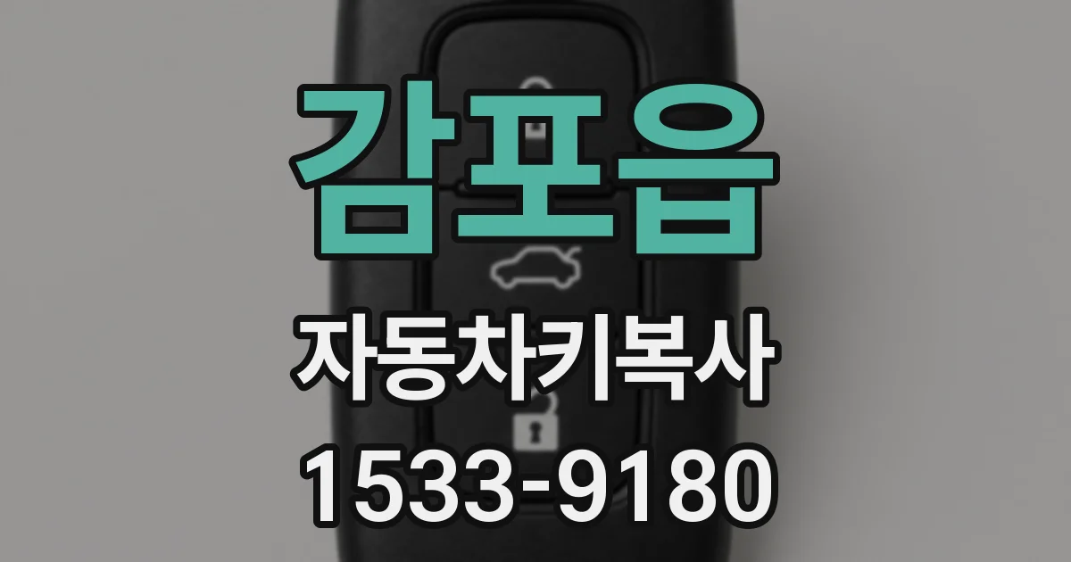 감포읍 자동차키복사