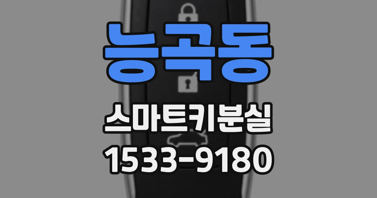 능곡동 스마트키분실