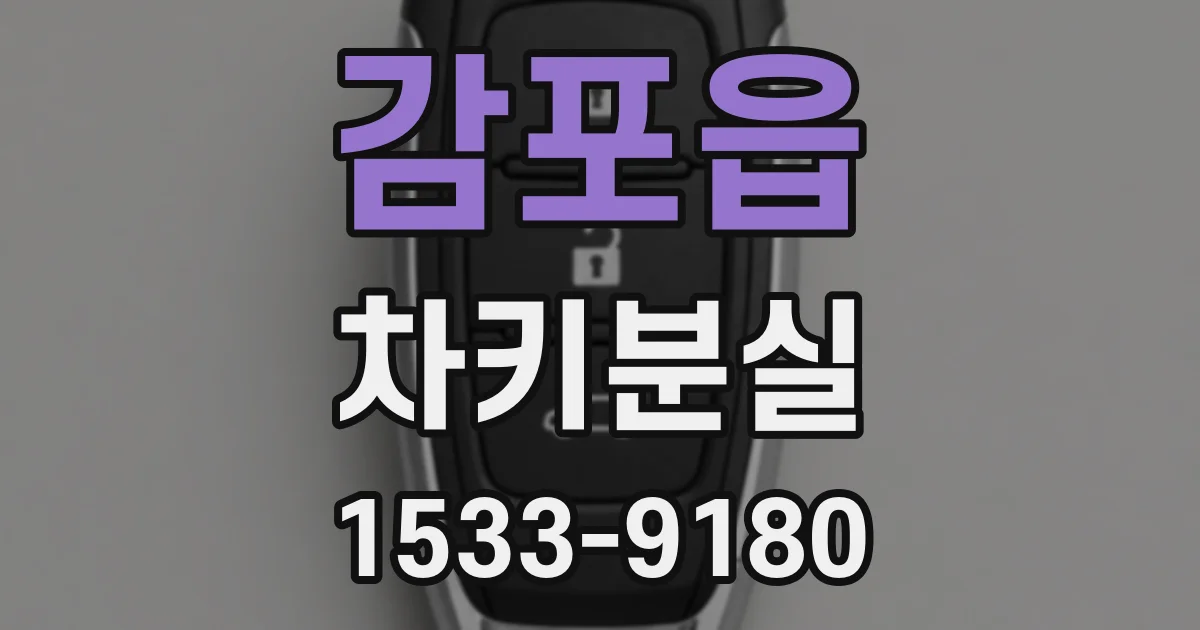 감포읍 차키분실