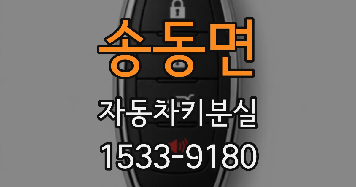 송동면 자동차키분실