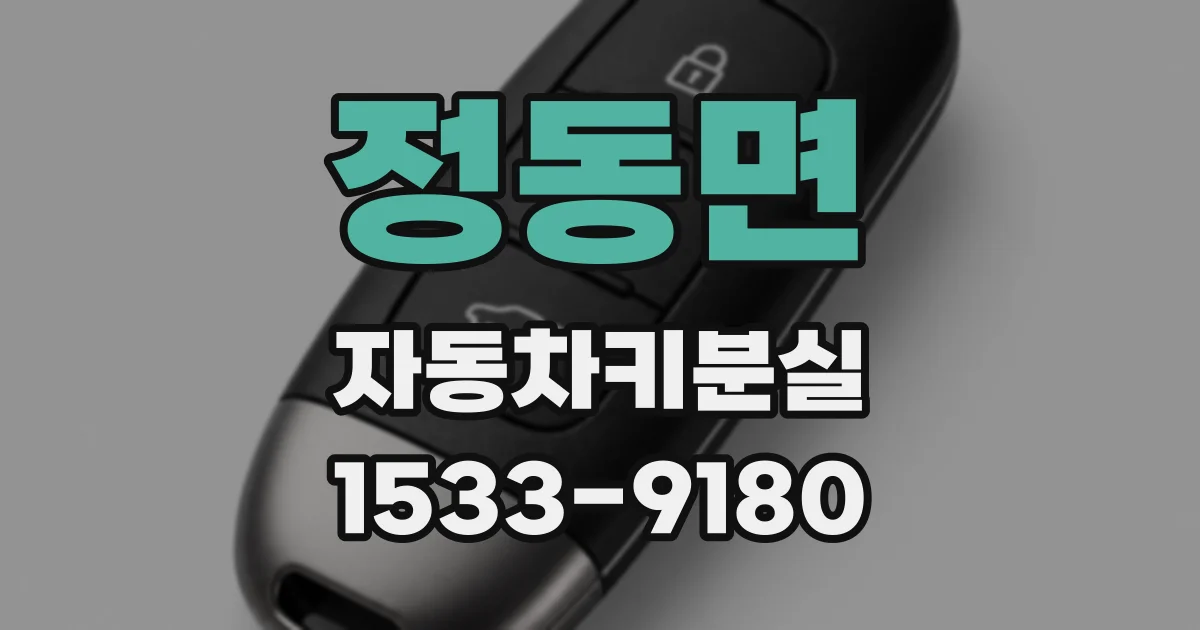 정동면 자동차키분실
