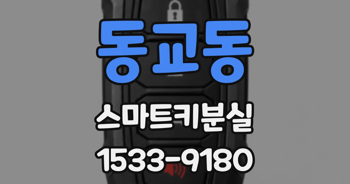 동교동 스마트키분실