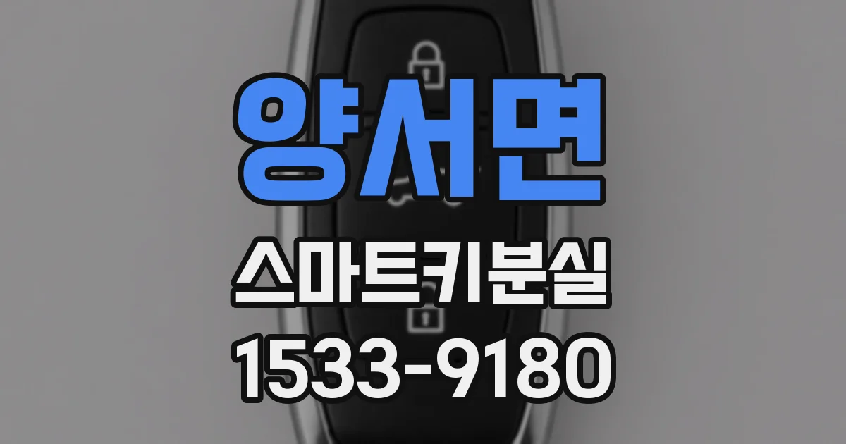 양서면 스마트키분실