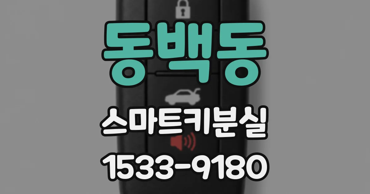 동백동 스마트키분실