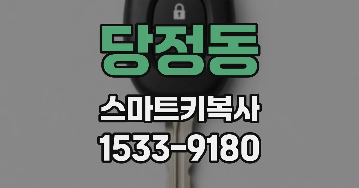 당정동 스마트키복사