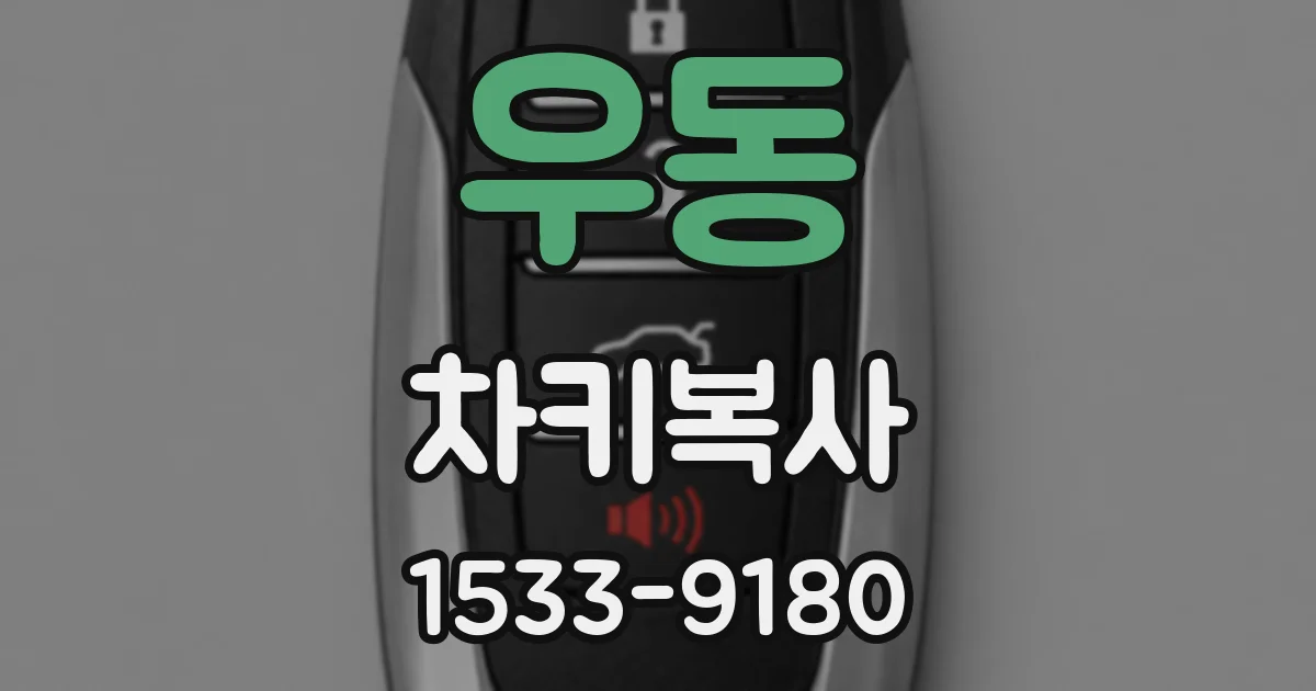 우동 차키복사
