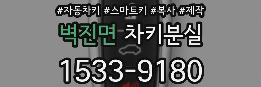 벽진면 차키분실