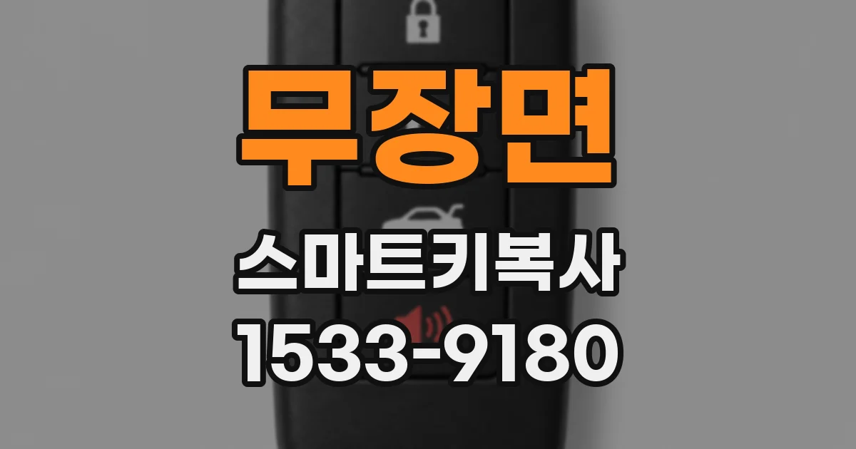 무장면 스마트키복사
