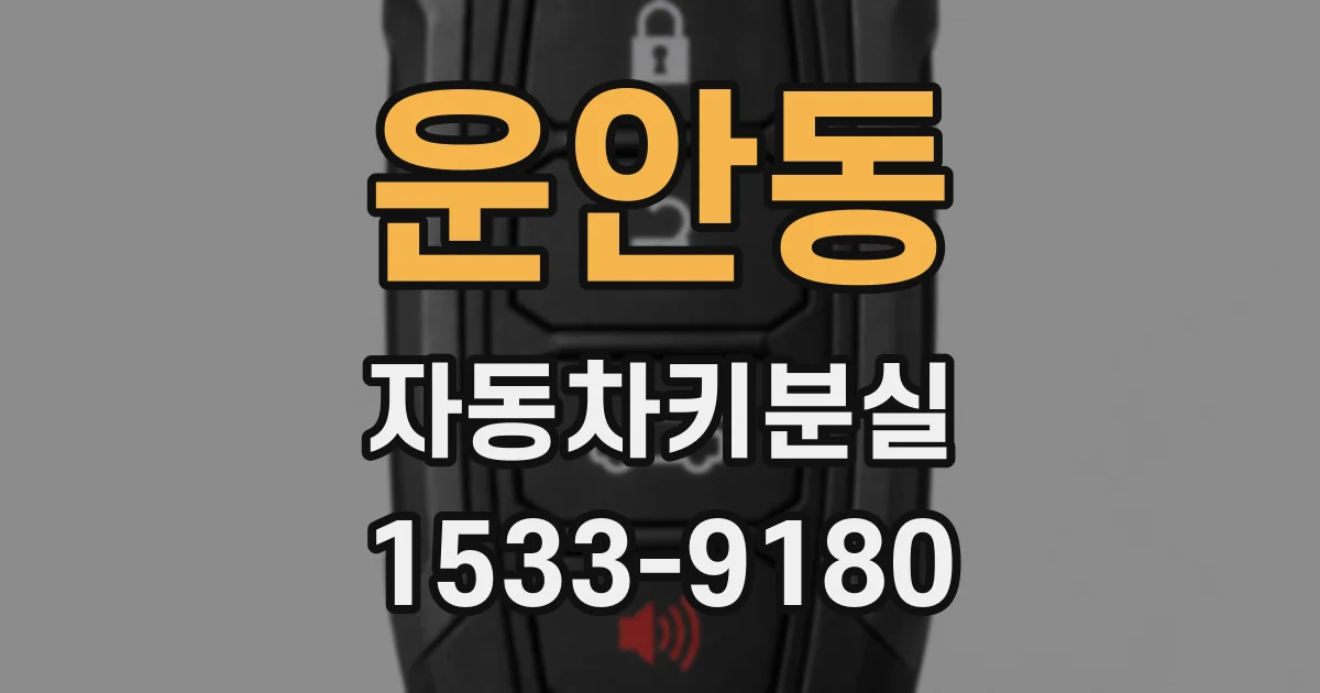 운안동 자동차키분실