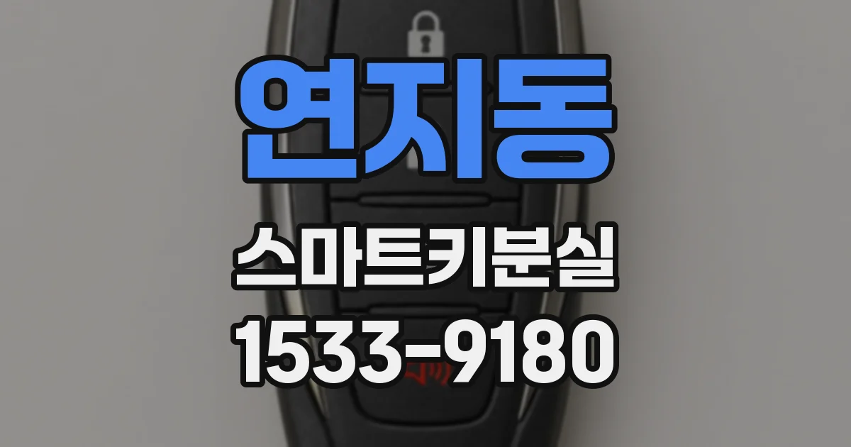 연지동 스마트키분실