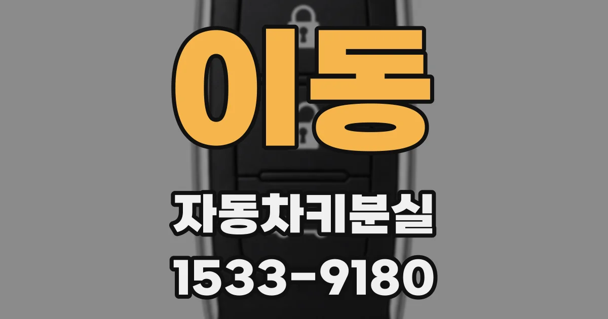 이동 자동차키분실