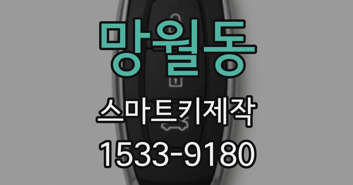 망월동 스마트키제작