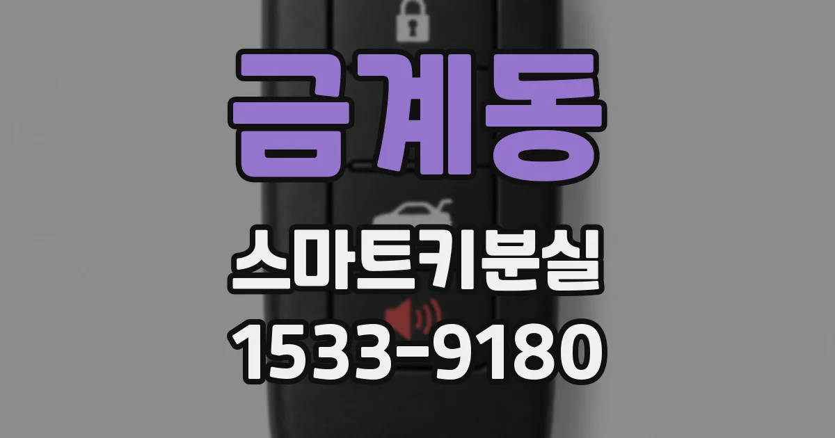 금계동 스마트키분실