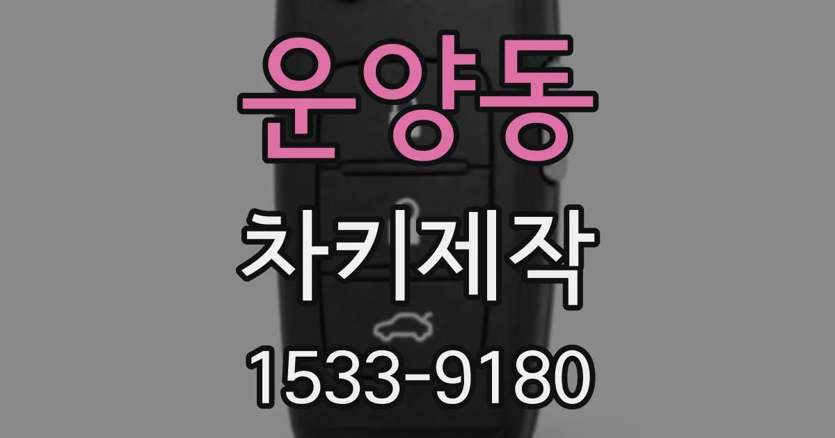 운양동 차키제작