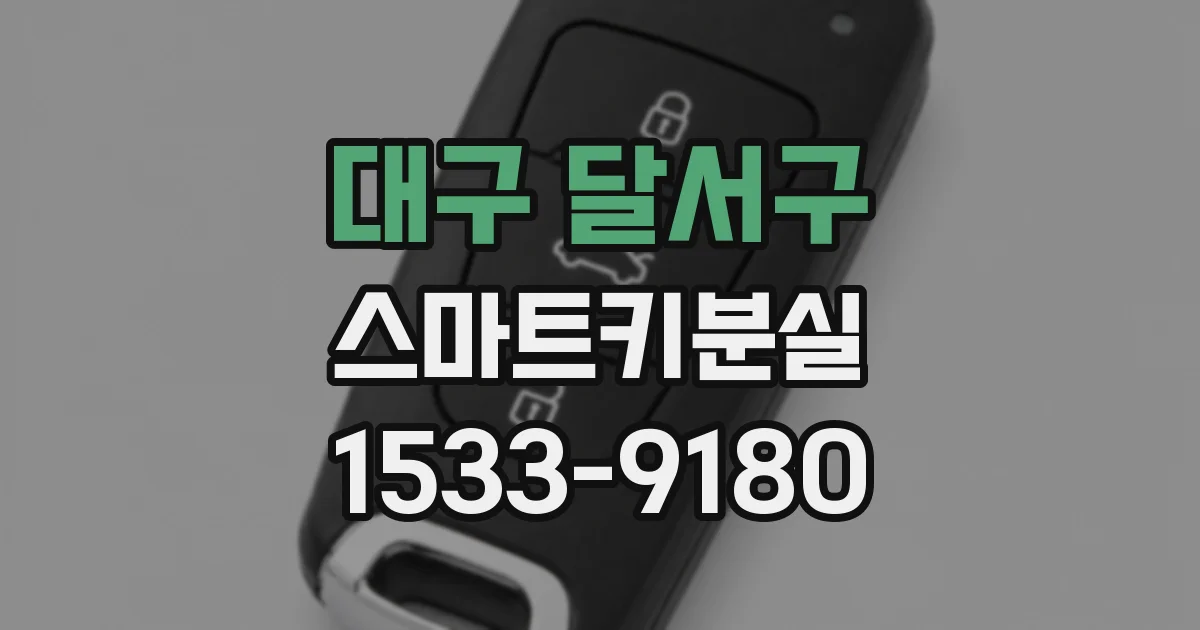 대구 달서구 스마트키분실