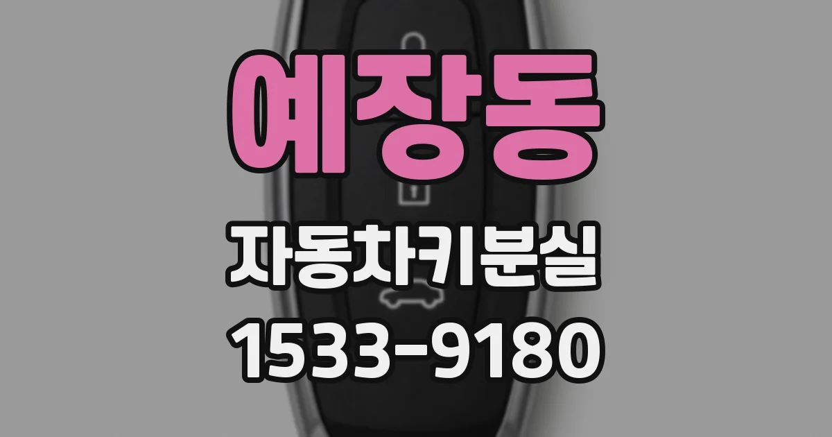 예장동 자동차키분실