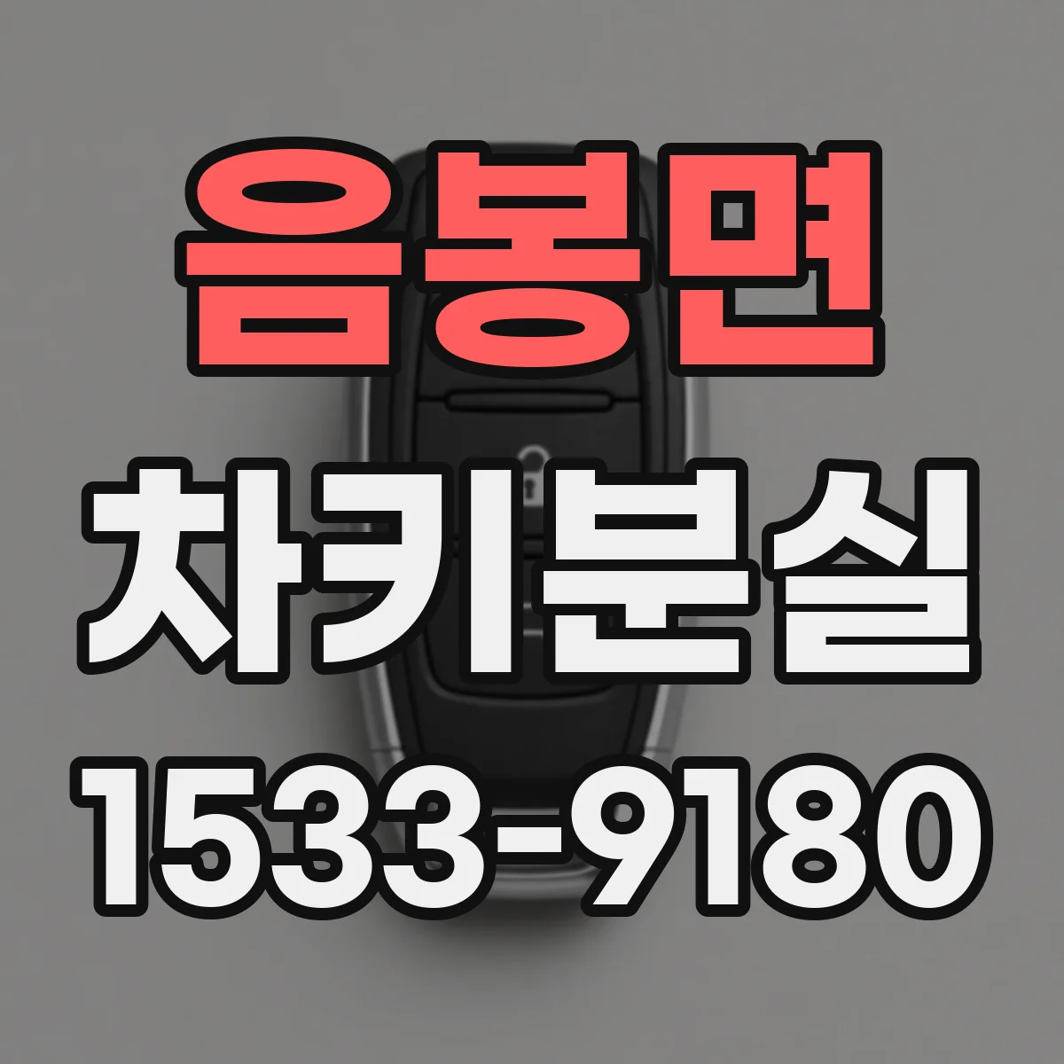 음봉면 차키분실