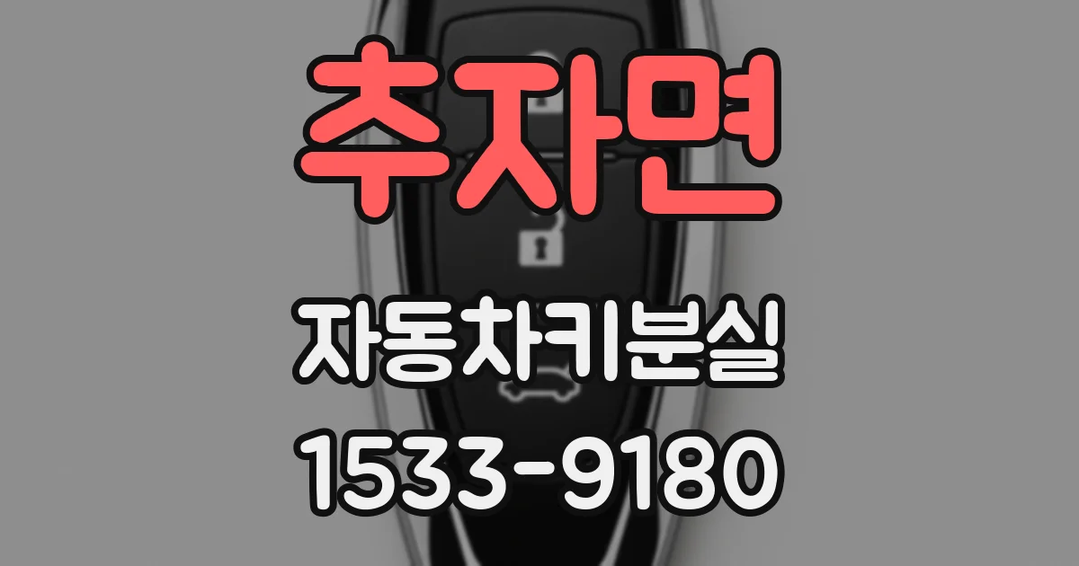 추자면 자동차키분실