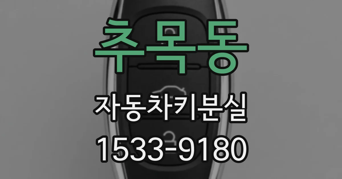 추목동 자동차키분실