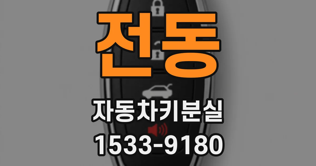 전동 자동차키분실