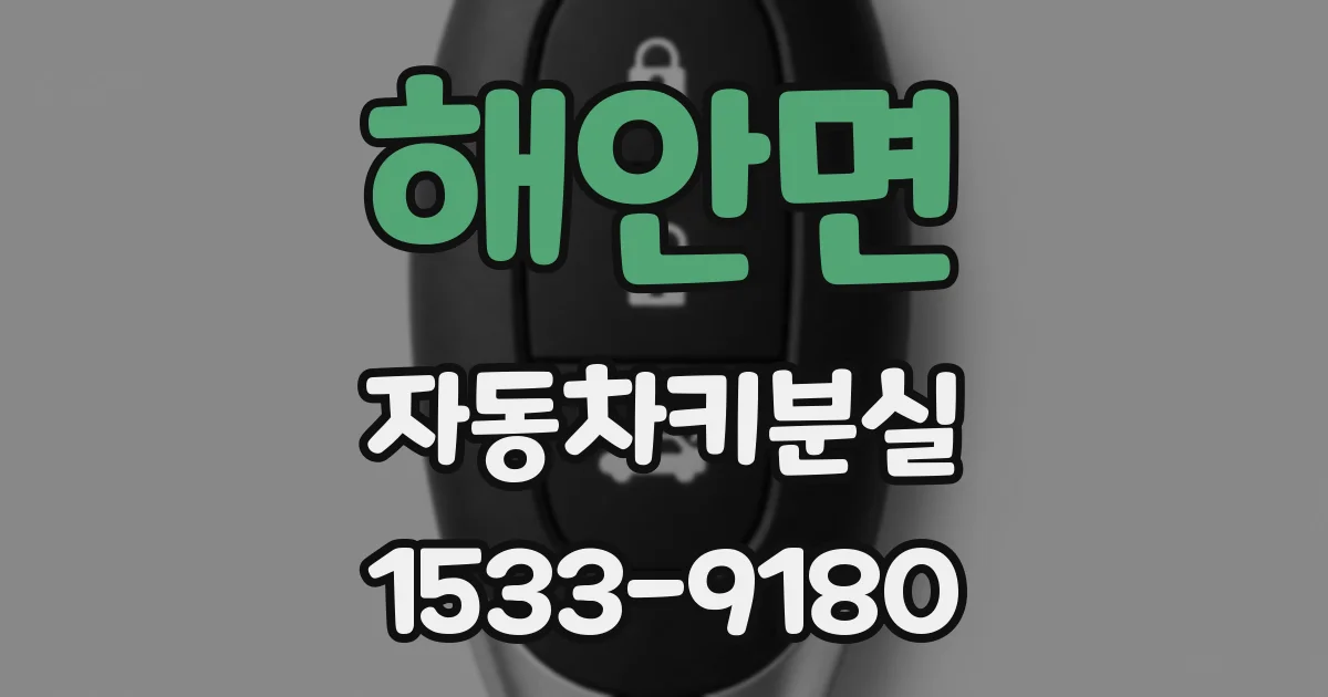 해안면 자동차키분실