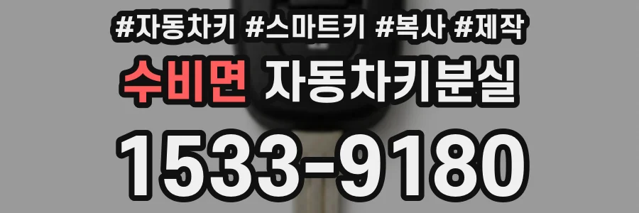 수비면 자동차키분실
