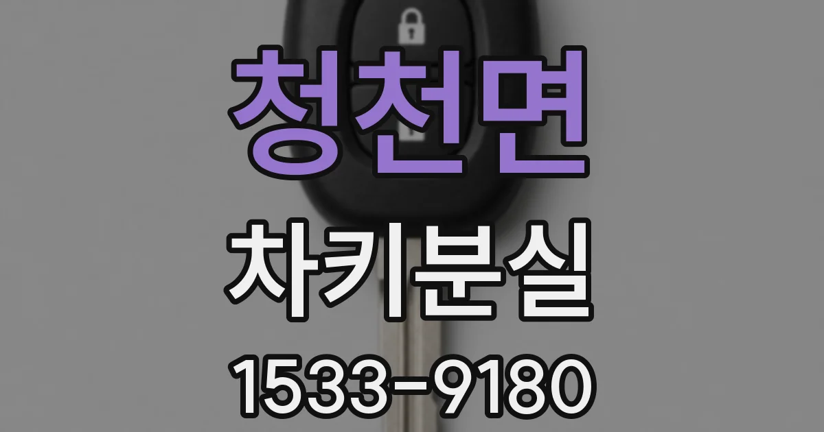 청천면 차키분실