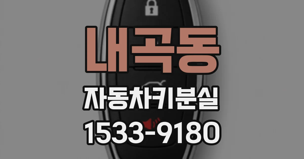 내곡동 자동차키분실