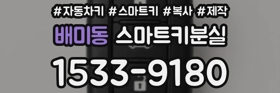 배미동 스마트키분실