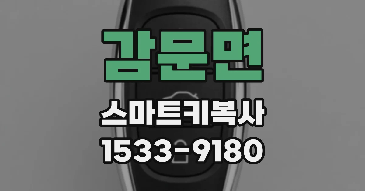 감문면 스마트키복사