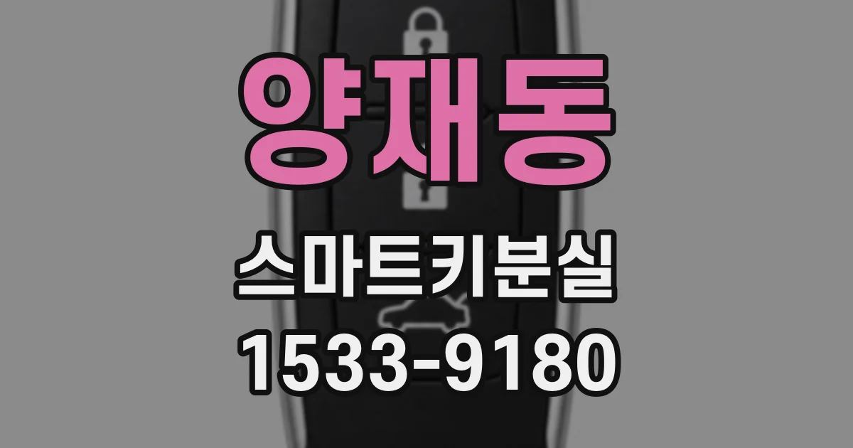 양재동 스마트키분실