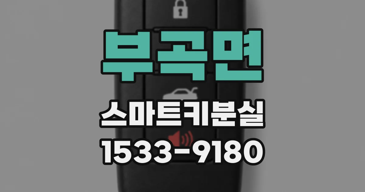 부곡면 스마트키분실