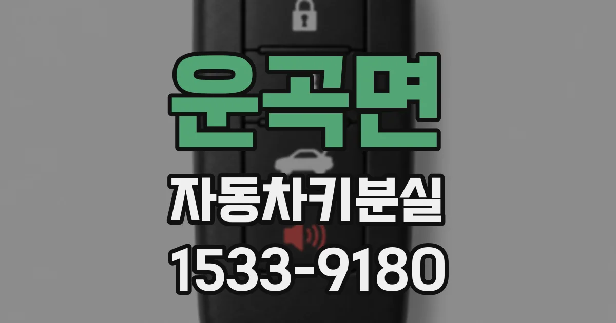 운곡면 자동차키분실