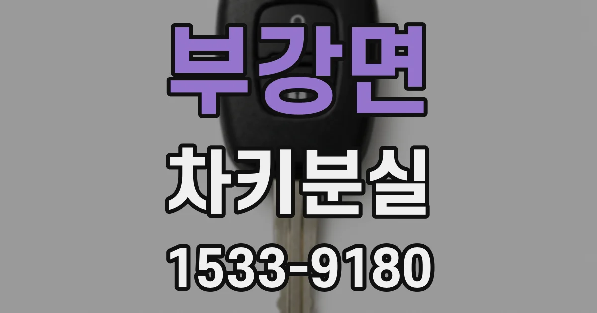 부강면 차키분실