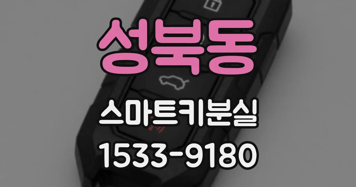 성북동 스마트키분실