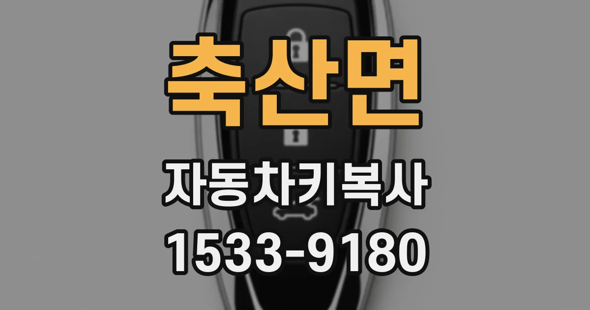 축산면 자동차키복사