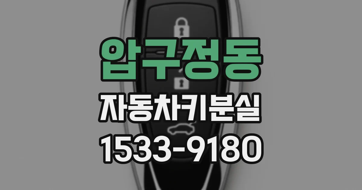 압구정동 자동차키분실