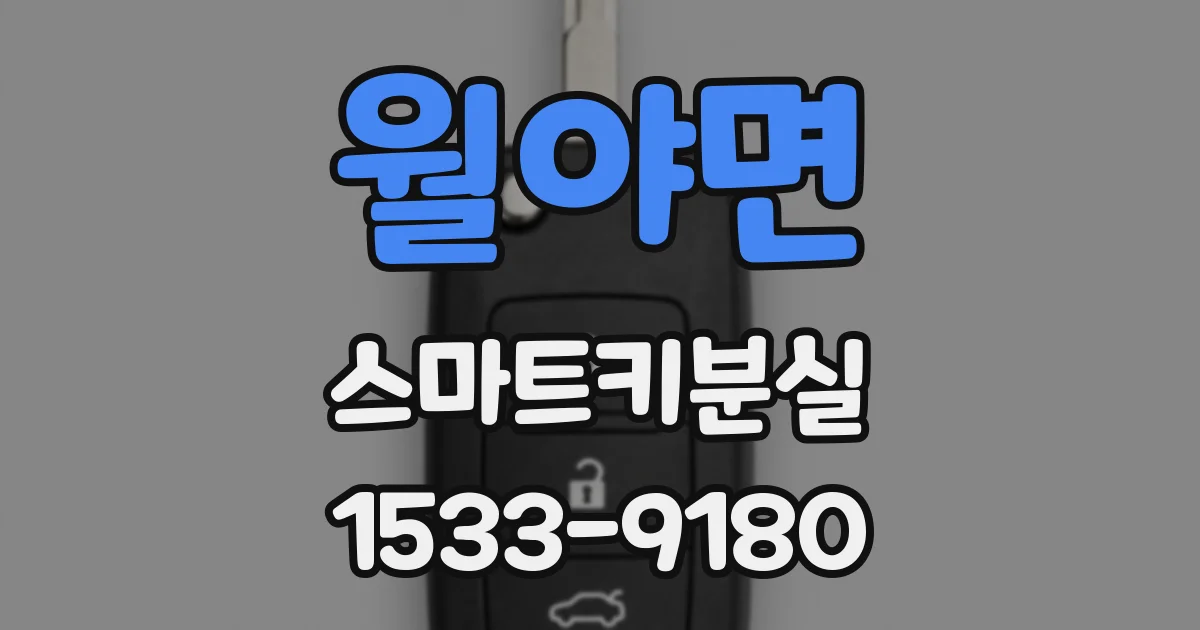 월야면 스마트키분실