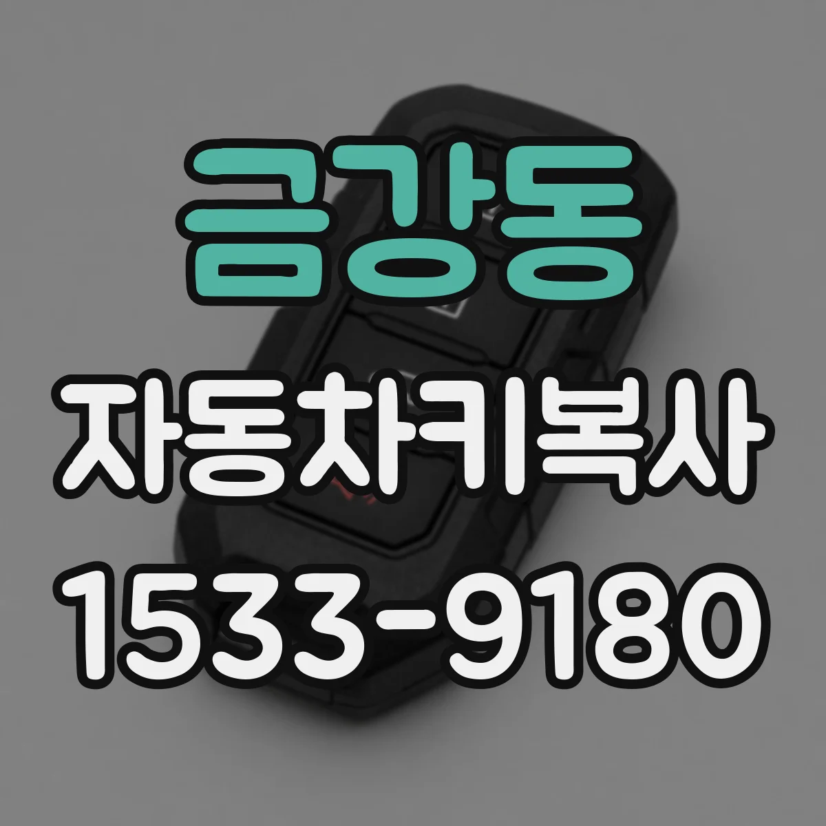 금강동 자동차키복사