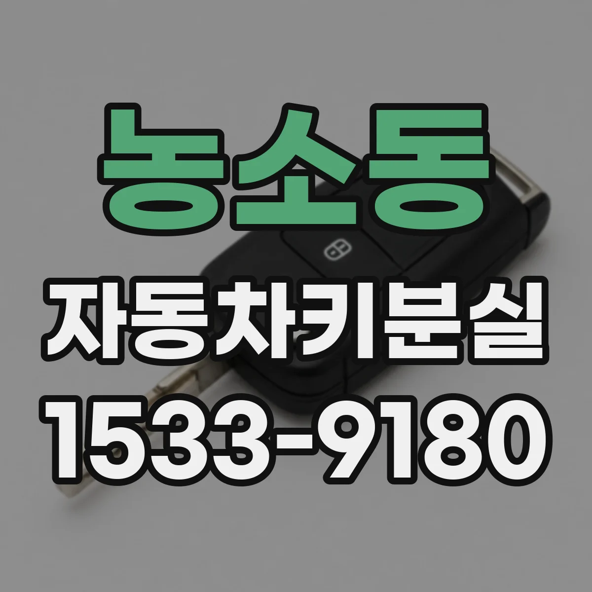 농소동 자동차키분실
