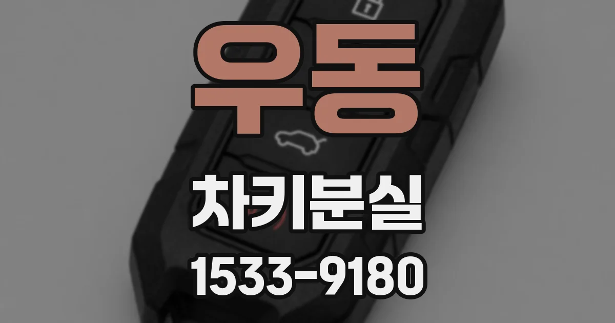 우동 차키분실