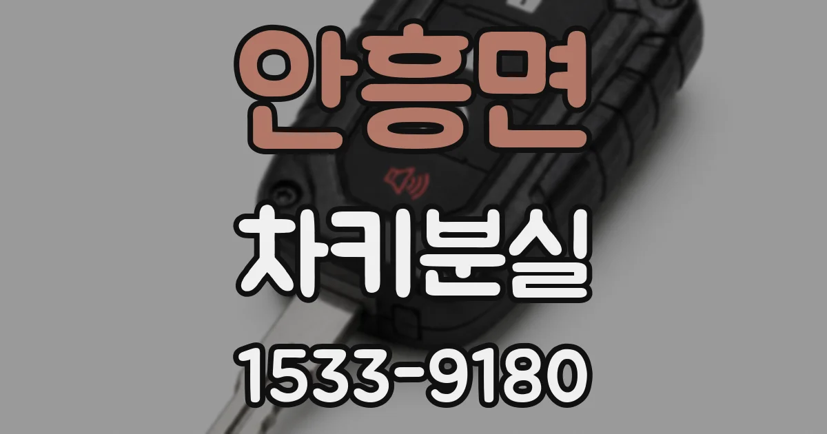 안흥면 차키분실