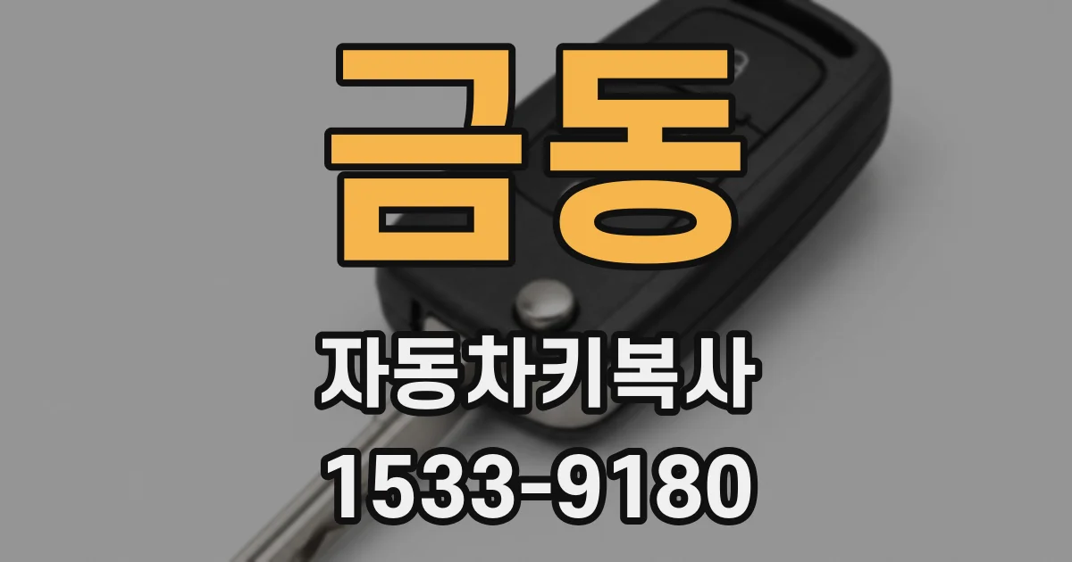 금동 자동차키복사