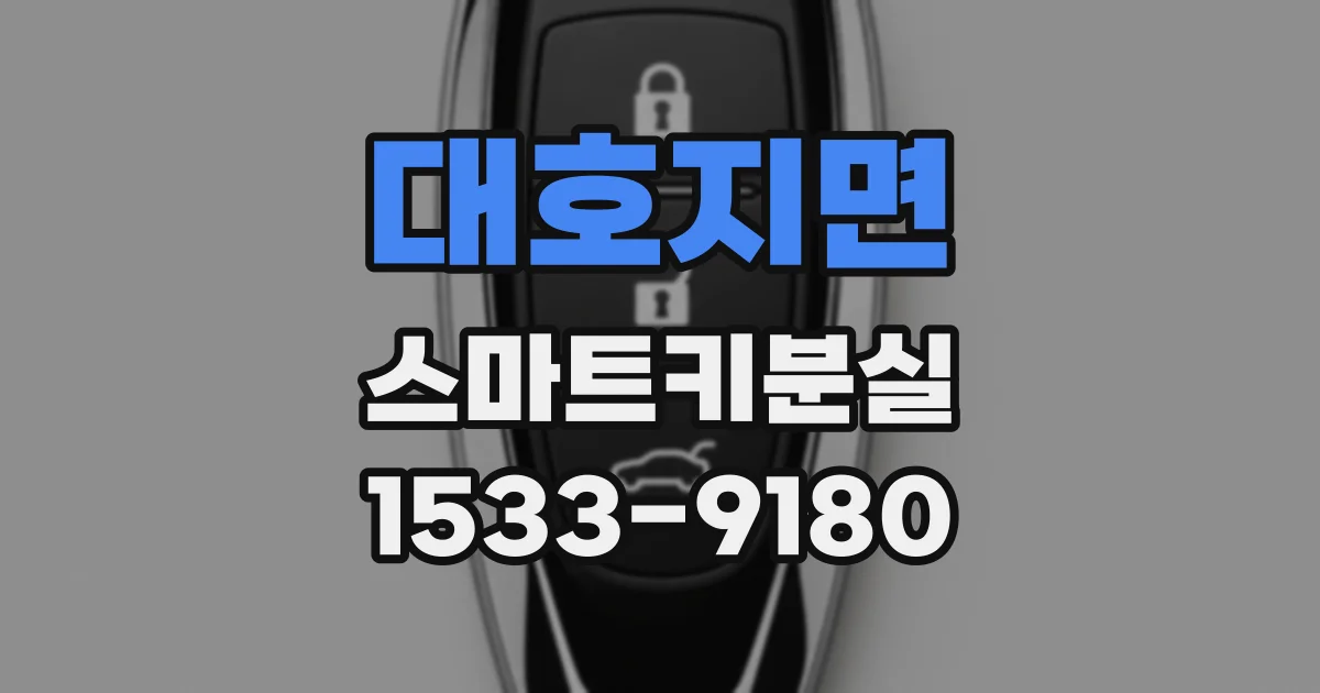 대호지면 스마트키분실