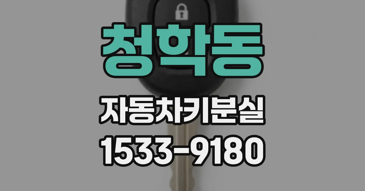 청학동 자동차키분실