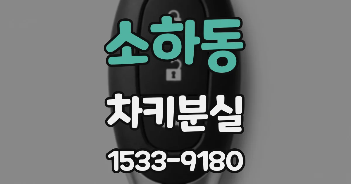 소하동 차키분실
