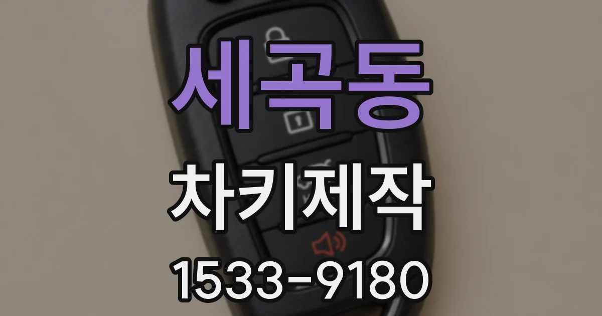 세곡동 차키제작